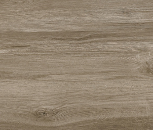 Керамогранит CeraLux Lime  19,6x79,8 серая матовая