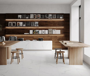 Керамогранит CeraLux Reward White Matte 60x60 Белый Матовый