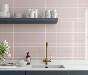 Керамогранит Foreign Delacosta Pink Matt 20x5 Розовый Матовый