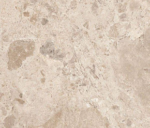 Керамогранит ACU tiles VibeBloom Whisper Lap 120х60 Темно-Бежевый Лаппатированный