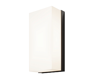 Настенный светильник (бра) Outdoor O454WL-L10GF3K