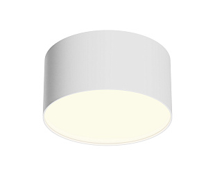 Потолочный светильник Technical C032CL-12W3K-RD-W