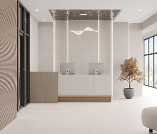 Керамогранит CeraLux Quebec Light Gray Matte 59,5x59,5 Светло-серый Матовый