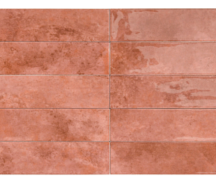 Керамогранит Joy Fresh Paradise Ruby 7,5x30  Глянцевый