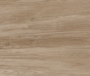 Керамогранит CeraLux Lime  19,6x79,8 коричневая матовая