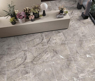 Керамогранит TerraCraft Eclipse Range Grey 60x60 Серый Карвинг