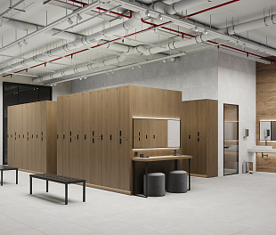 Керамогранит CeraLux Building material Silver Grey 60x120 Серый Матовый