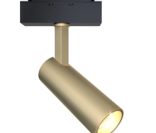 Трековый светильник Technical TR019-2-10W3K-MG
