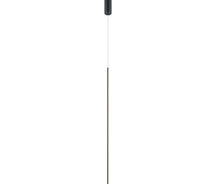 Подвесной светильник Maytoni MOD246PL-L24BK1