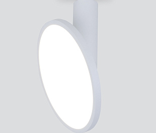 Накладной светодиодный светильник DLS029