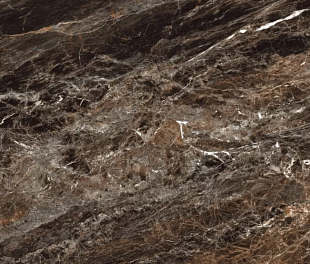 Керамогранит Desert ROMA Readily 120x60 коричневый полированный